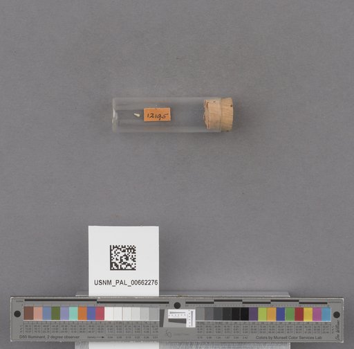 NSF ADBC EPICC TCN