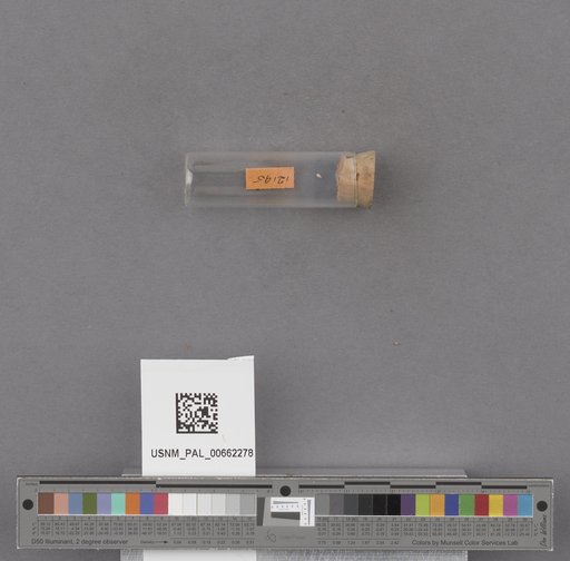 NSF ADBC EPICC TCN