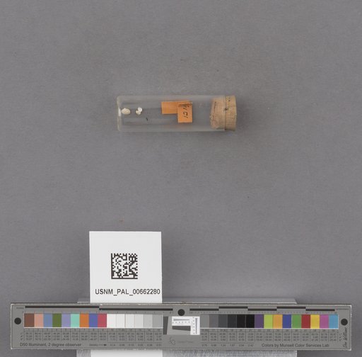 NSF ADBC EPICC TCN