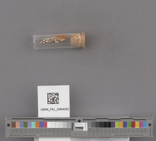 NSF ADBC EPICC TCN