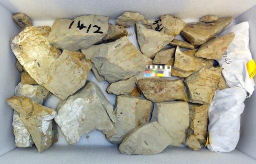 Vertebrata Tracks and Trails Biologic