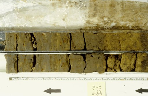 Nile Delta Core