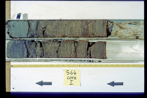Nile Delta Core