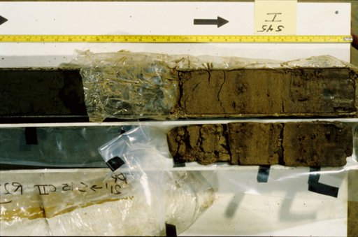 Nile Delta Core