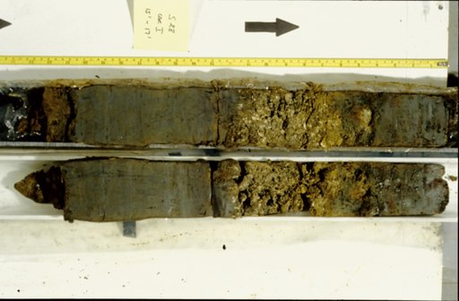 Nile Delta Core