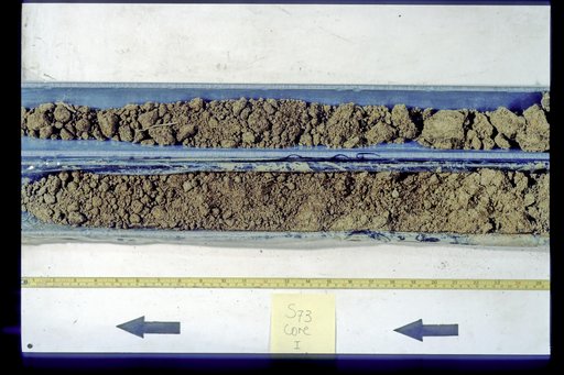 Nile Delta Core
