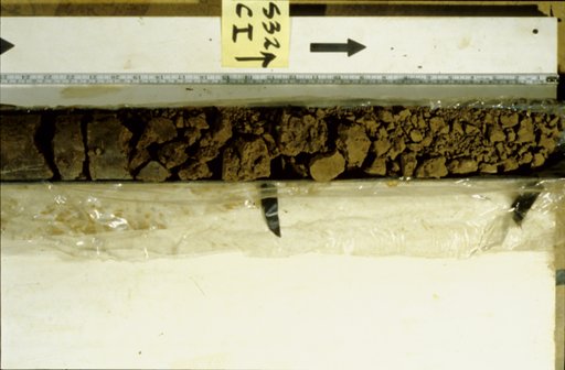 Nile Delta Core