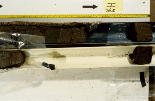 Nile Delta Core