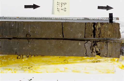 Nile Delta Core