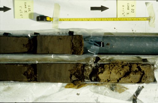 Nile Delta Core