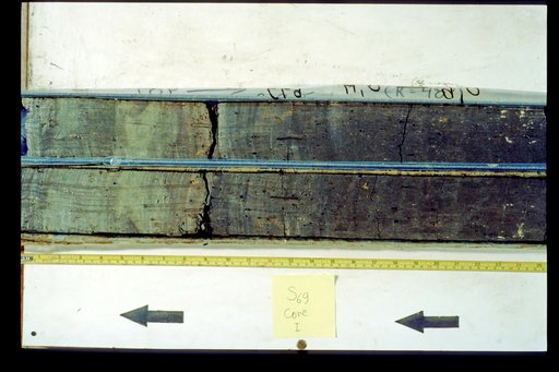 Nile Delta Core