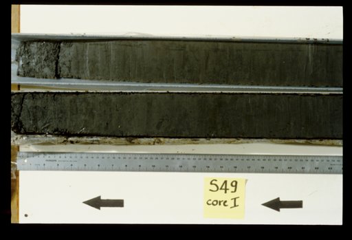 Nile Delta Core