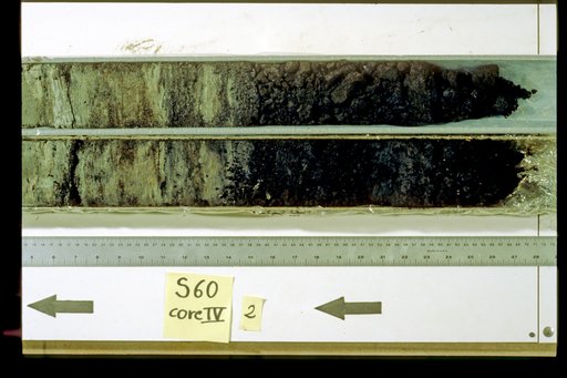 Nile Delta Core