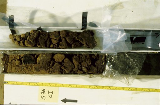 Nile Delta Core