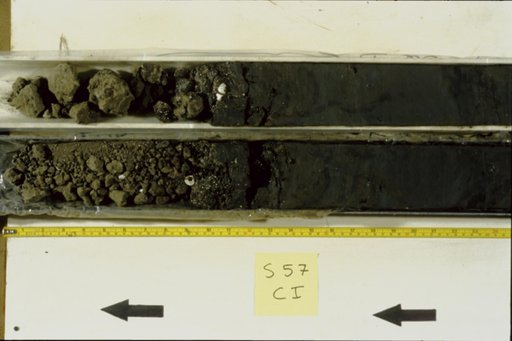 Nile Delta Core
