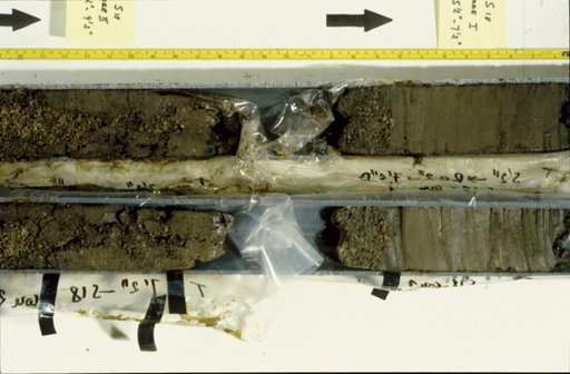Nile Delta Core