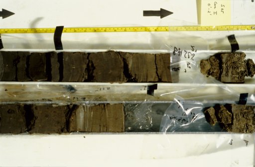 Nile Delta Core