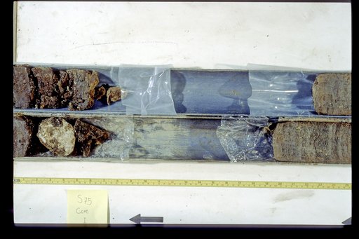 Nile Delta Core