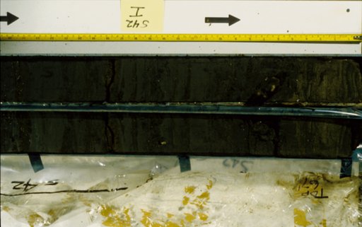 Nile Delta Core