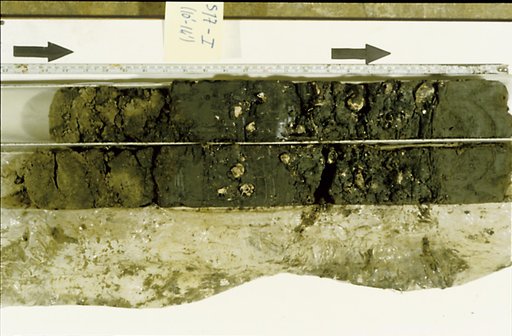 Nile Delta Core