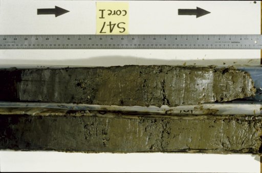 Nile Delta Core