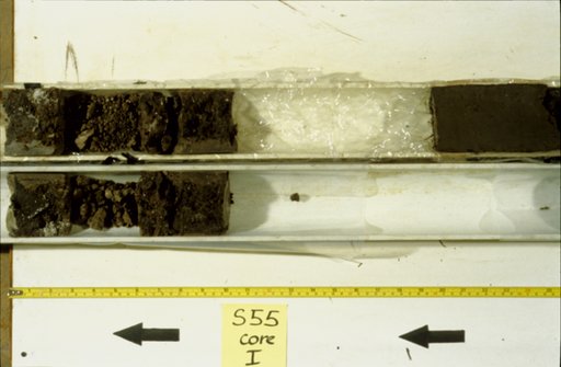 Nile Delta Core