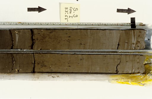 Nile Delta Core