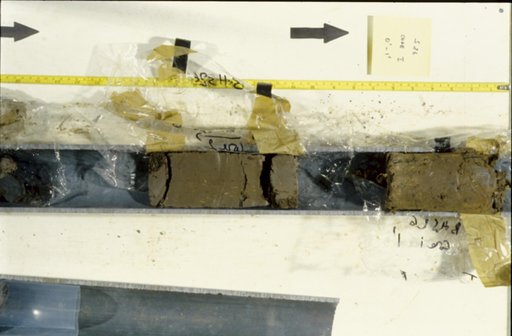 Nile Delta Core