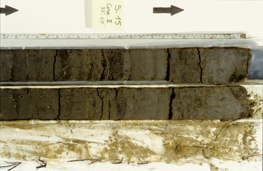 Nile Delta Core