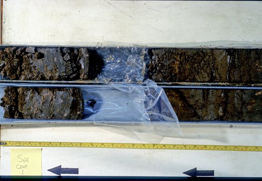 Nile Delta Core
