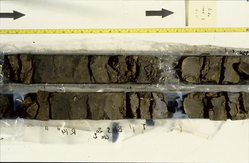 Nile Delta Core