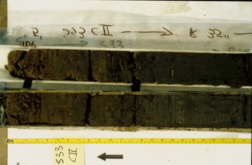 Nile Delta Core