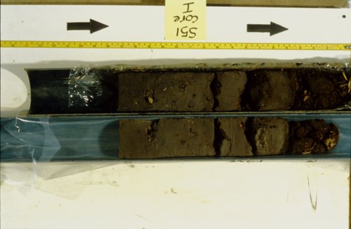 Nile Delta Core