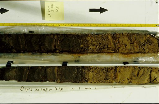 Nile Delta Core