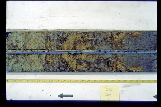 Nile Delta Core