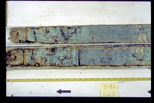 Nile Delta Core