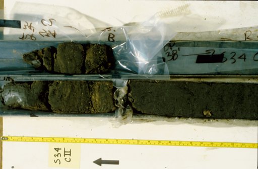 Nile Delta Core