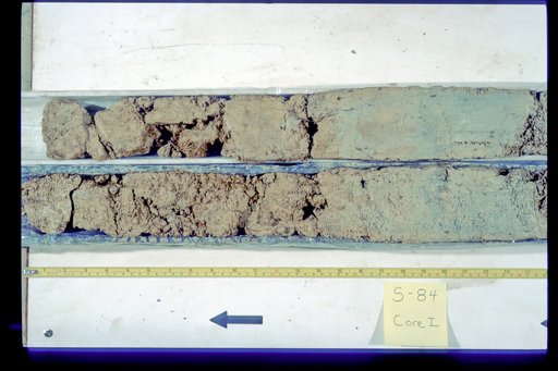 Nile Delta Core