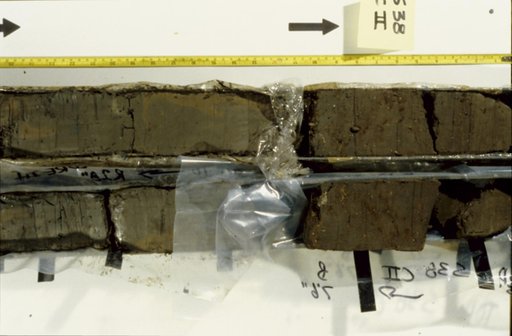 Nile Delta Core