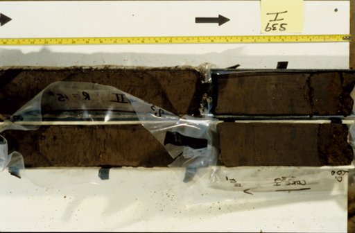 Nile Delta Core
