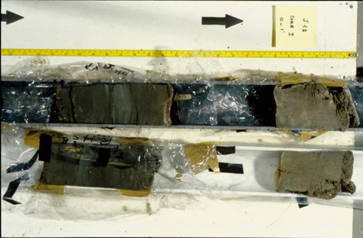 Nile Delta Core