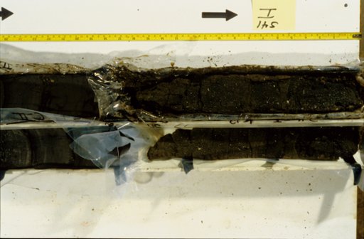 Nile Delta Core