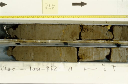 Nile Delta Core