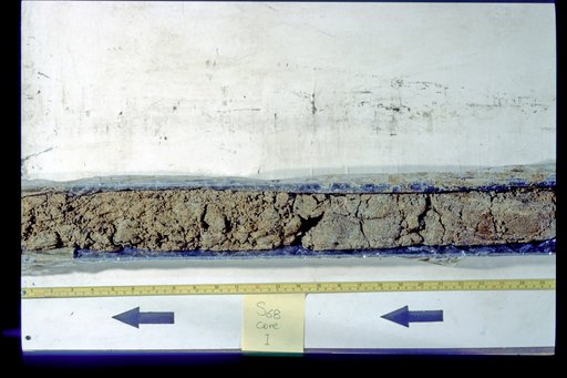 Nile Delta Core