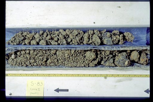 Nile Delta Core