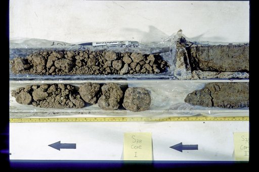 Nile Delta Core