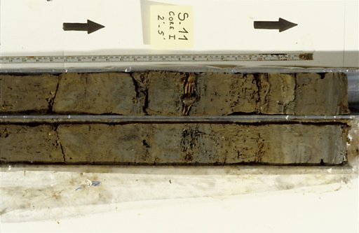 Nile Delta Core