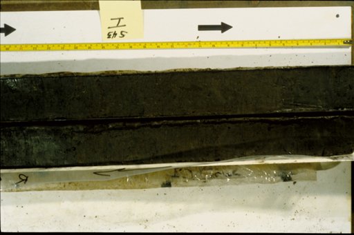 Nile Delta Core