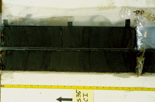 Nile Delta Core