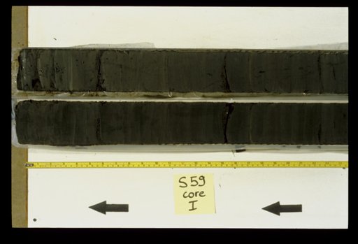 Nile Delta Core